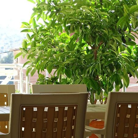 Cozy Central Apartment 卡萨米尔 外观 照片