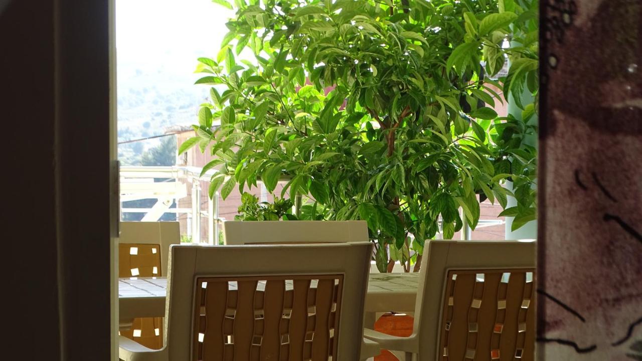 Cozy Central Apartment 卡萨米尔 外观 照片